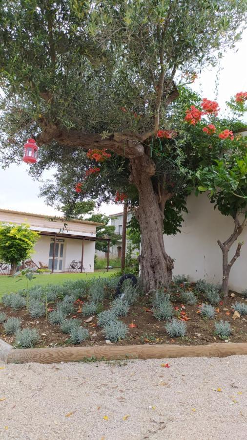 토리노 디 산그로 Relais Il Giardino Fra Gli Ulivi 빌라 외부 사진