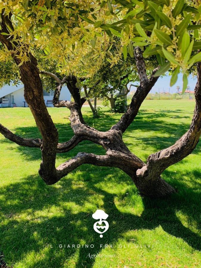 토리노 디 산그로 Relais Il Giardino Fra Gli Ulivi 빌라 외부 사진