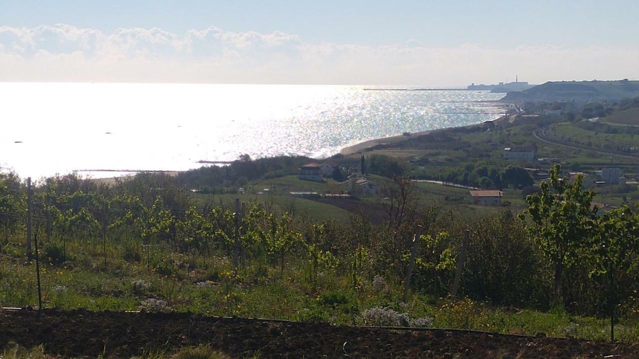 토리노 디 산그로 Relais Il Giardino Fra Gli Ulivi 빌라 외부 사진